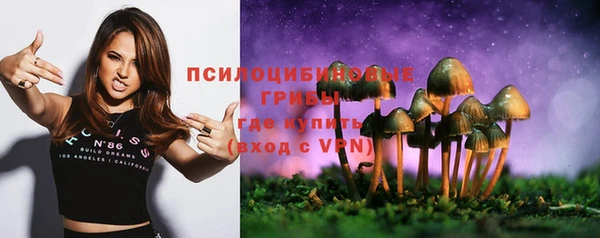 соль ск Мегион