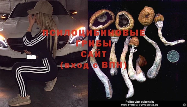 соль ск Мегион