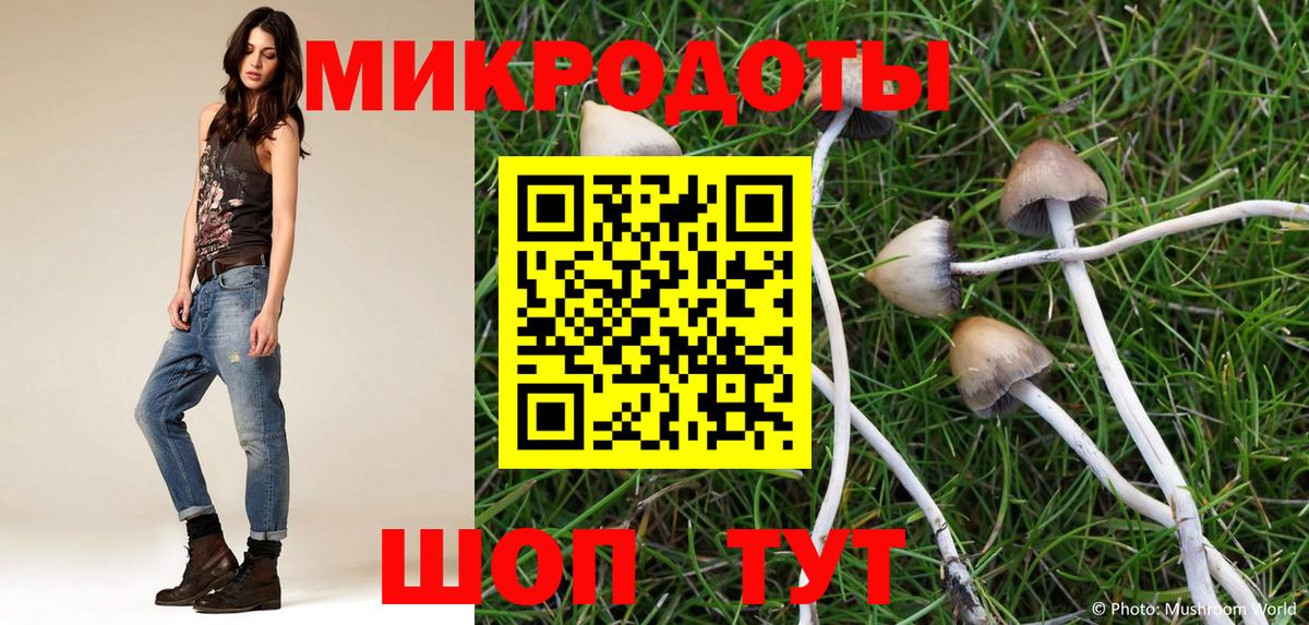 Галлюциногенные грибы Magic Shrooms  Бугуруслан 