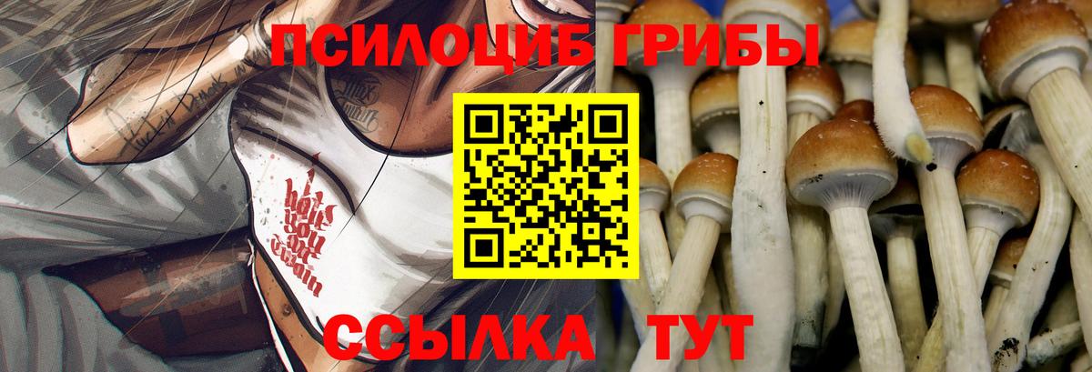 Галлюциногенные грибы ЛСД  Псилоцибиновые грибы мицелий  Вход с VPN  Бугуруслан 
